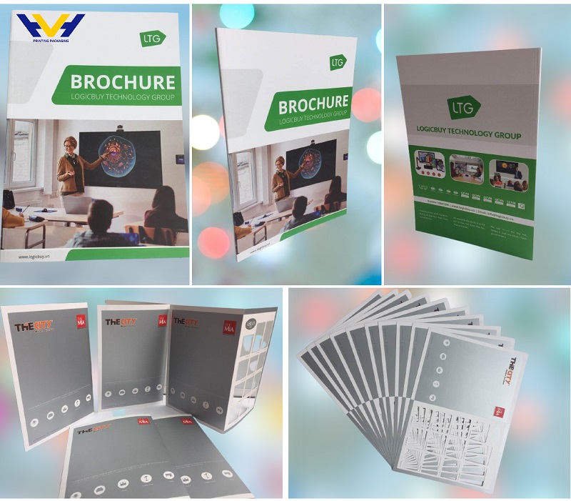 Mẫu thiết kế brochure đẹp của công ty HVH