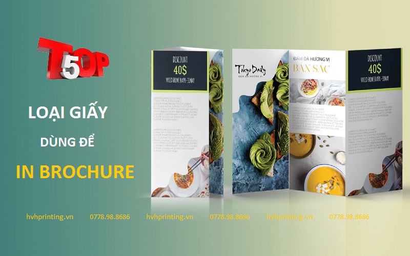 Top 5 loại giấy in Brochure được ưa chuộng nhất hiện nay