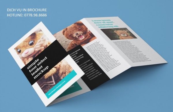 loại giấy in Brochure được ưa chuộng nhất