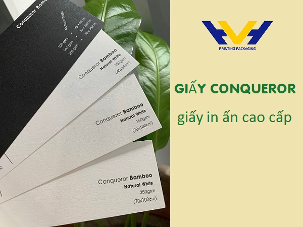 các loại giấy in Brochure