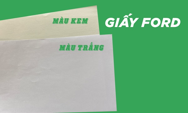 Giấy Ford dùng để in Brochure