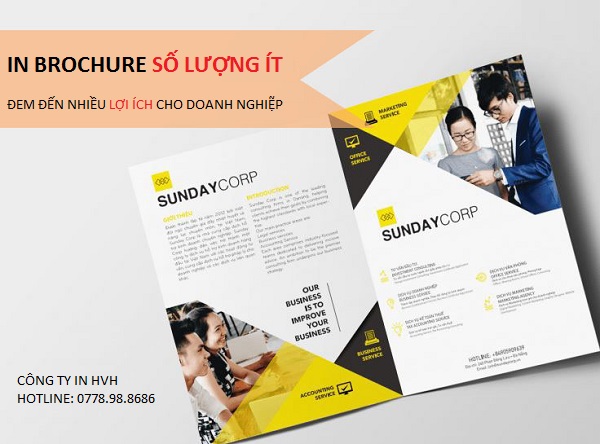 Lợi ích khi in Brochure số lượng ít đối với doanh nghiệp