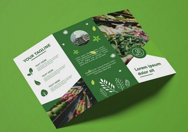 Brochure gấp 3