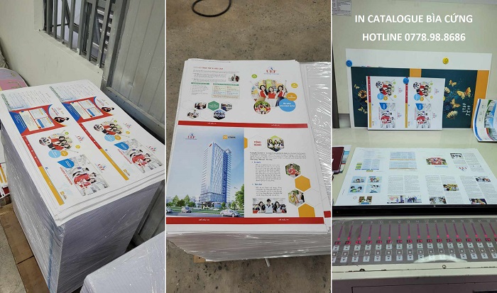 in catalogue bìa cứng