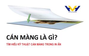 Cán màng là gì? Tìm hiểu kỹ thuật cán màng trong in ấn