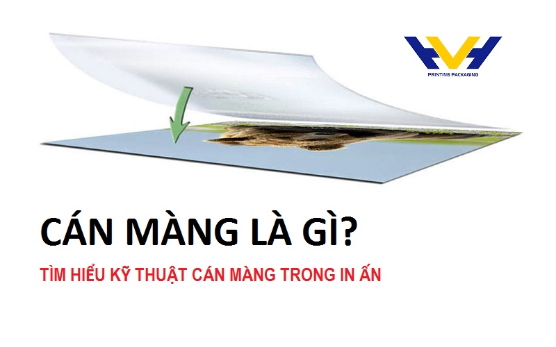 Cán màng là gì? Tìm hiểu kỹ thuật cán màng trong in ấn