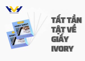 Giấy Ivory là gì? Ứng dụng của giấy Ivory trong in ấn, thiết kế
