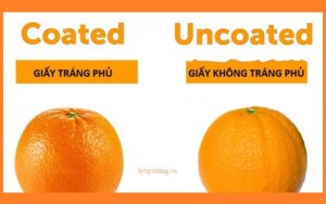 Giấy tráng phủ và không tráng phủ