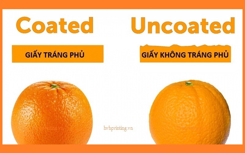 Giấy tráng phủ và không tráng phủ